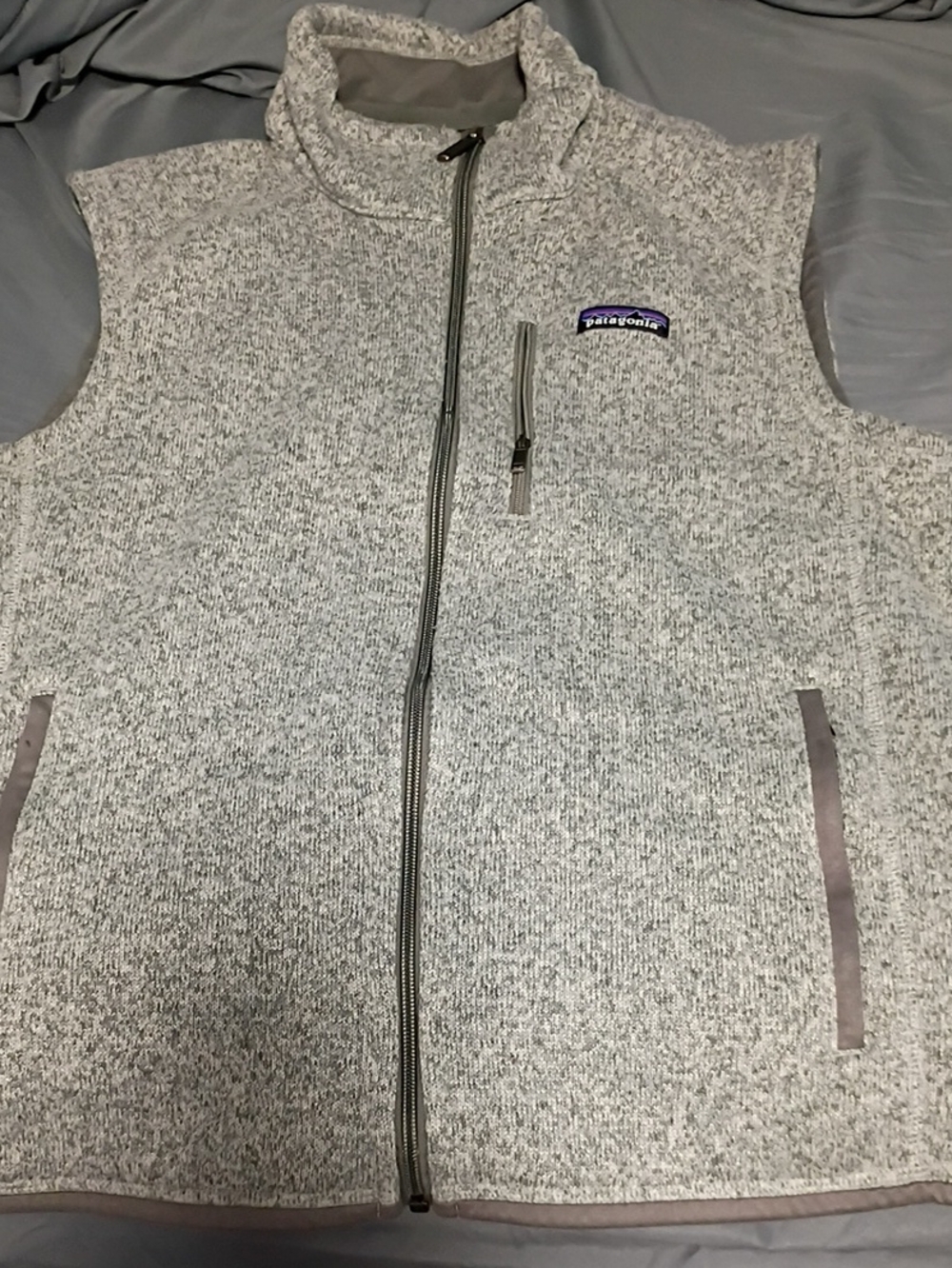 Patagonia Light Gray Fleece Full-Zip Vest